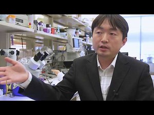 E-glove slips over prosthetic hands to alert the senses