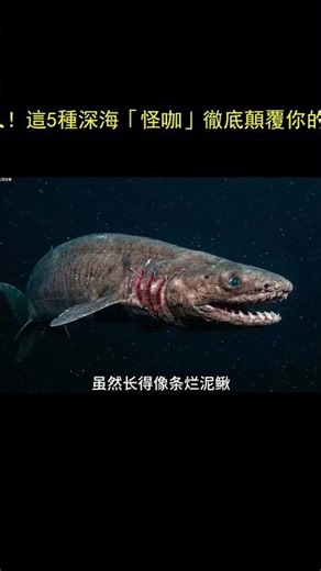 膽小慎入！這5種深海「怪咖」徹底顛覆你的認知 #深海恐懼症 #獵奇 #外星生物