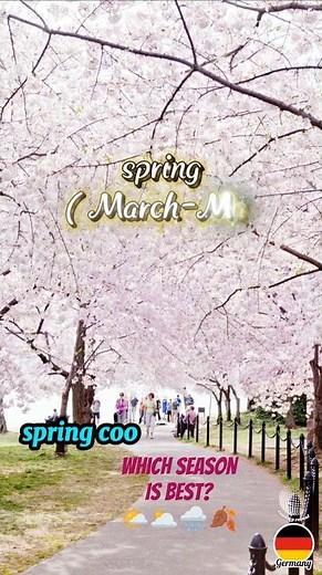 Germany Weather & Seasons – What Happens Each Month? 🇩🇪#germanyweather#germanytravel#seasons