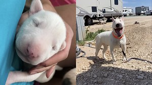 2.4K views | Twitter and TikTok Users are showcasing where they started versus where they are now. Politicians, Celebrities, Influencers, and everyone in between has been participating. | What's Trending | Facebook