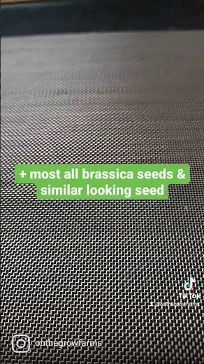 Which seeds can and cannot grow on Reusable Microgreen Grow Medium? | Soilless Growing | Hydroponics
