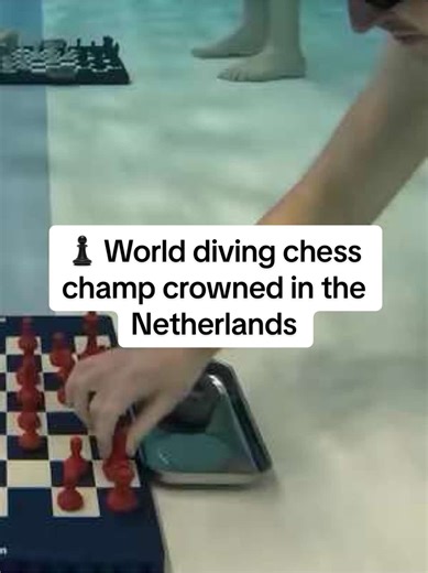 New Champion Crowned in Diving Chess Tournament