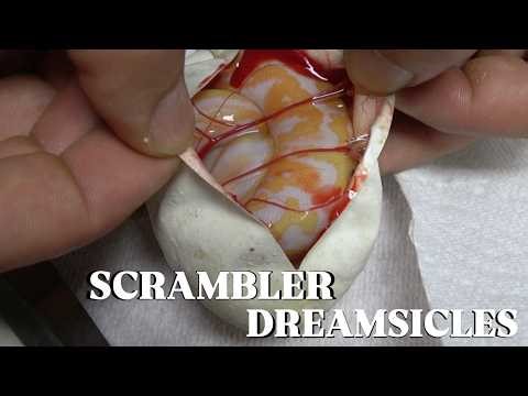 Killed The Odds Dreamsicle Egg Cutting + Enchi Scrambler Dreamsicle!