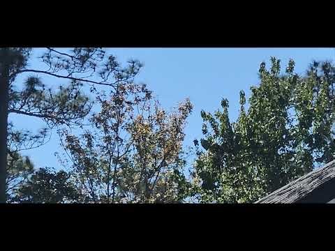 N761CA P28A flying from KJAX