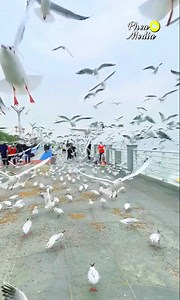 planet earth amazing nature scenery | Phea Media