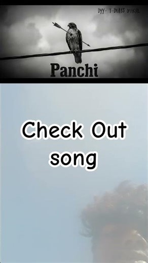 Check Out Song 🎧