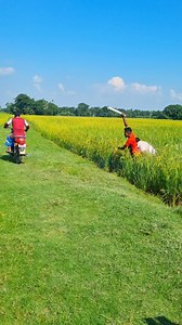 Village Activity on Reels