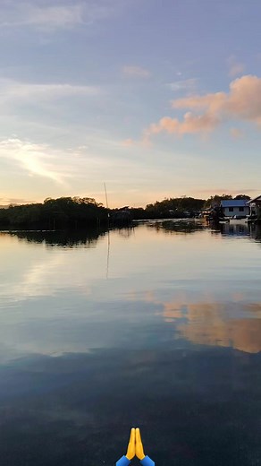 #TGBTG #tatakbertai #teamsapyot #ProudFarmer #highlights | Bert Ai