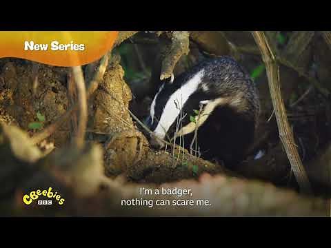 Garden Tales - Casey's Field Adventure | CBeebies Asia