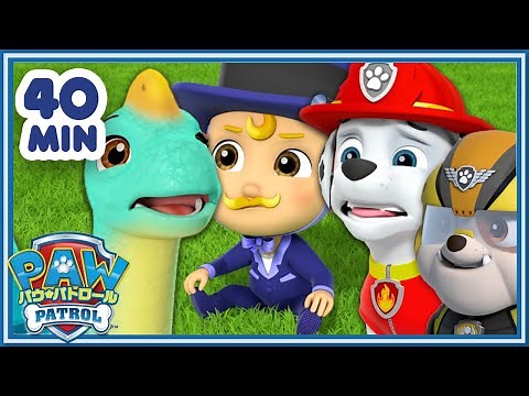 パウ・パトロール | パウ・パトロールの超かわいい赤ちゃんレスキュー 40分！| パウ・パトロール公式