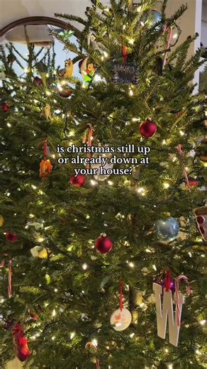 we’re a Christmas lights up ‘til several days into January house 🎄 #christmaslights #christmasdecor #homedecor #cozyhome #christmastree