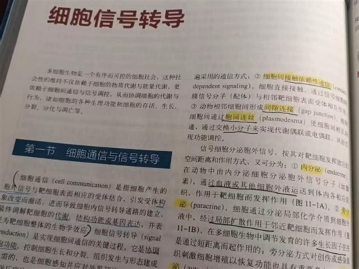 终于有人把所有信号通路详解整理出来了！！