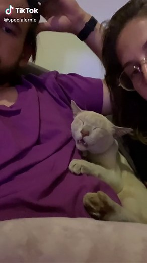 Just a grumpy sleeping ernie compilation 🤧🥴 #fakesneeze #melbournelockdown #funnycat #fyp