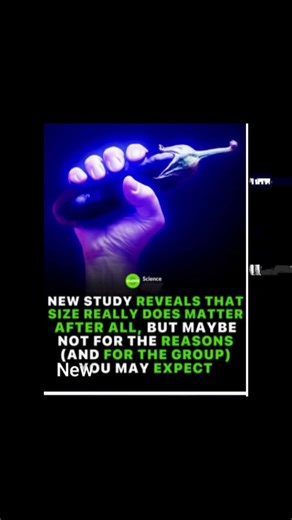 New Study Reveals Size Really DOES Matter -What You Need to Expect!"