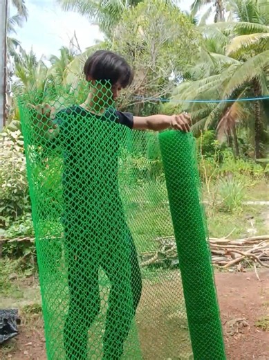 Using Plastic Green Screens for Sustainable Farming