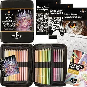 Castle Art Supplies 48 Pasteltint Coloured Pencils Set with Extras | Quality Colours in Softer, Sumptuous Tones | For Professional and Adult Artists | In Neat, Strong, Zipper Travel Case