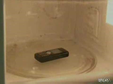 Cell Phone In Microwave