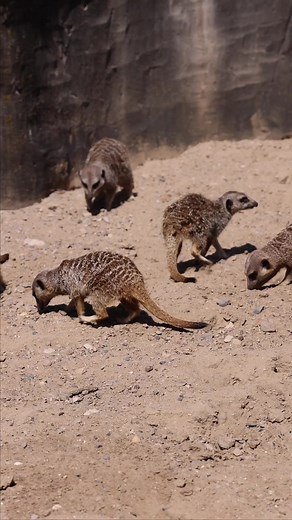 8.5K views · 29 reactions | Winter is here, and the adventures at...