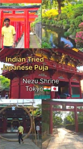 Tokyo’s Most Beautiful Shrine 🌸 | Nezu Shrine Azalea Festival | Hidden Gem of Japan 🇯🇵 #tokyo