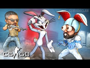 CS:GO Hide and seek | დამალობანა აგრესიული კატა