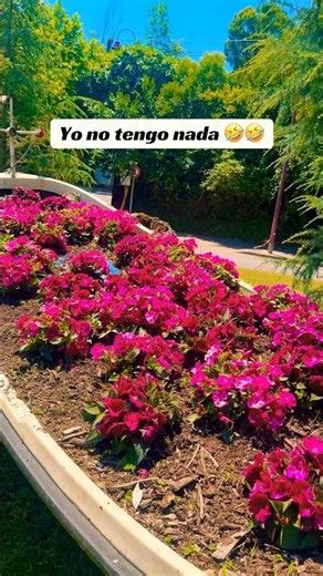 Paisajes flores y jardines #paisajesjardines