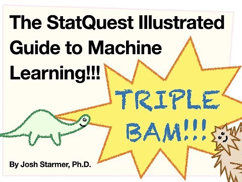The StatQuest Illustrated Guide To Machine Learning, Theme Song!!!