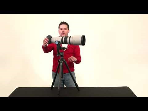 How to Setup & Use a Gimbal Head For Wildlife Photography