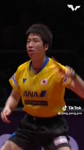 Dominando el Ping Pong Profesional: Técnicas y Estrategias