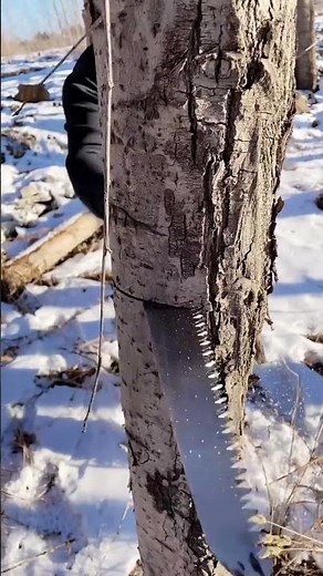 Roughing Shears Hand Saw Fruit Tree Shears gardensaw