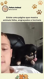1M views · 52K reactions | Siga @fofuraanimall pra ver os vídeos mais engraçados e fofos do dia!  É impossível sair sem sorrir! #animaisfofos #fyp #pets #cachorros | Fofura Animal | Facebook