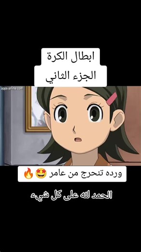 ابطال الكرة: الجزء الثاني والمغامرات الجديدة