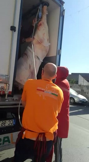 Meat Loading Process in Urban Setting