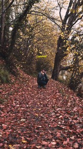 Can you tell the difference between hardware, software and AI? | Plugin Boutique