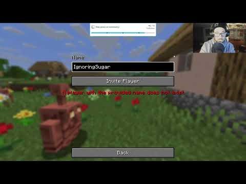 A new Minecraft experience!