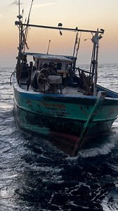 86K views · 1.3K reactions | ‼️giand waves  #cooking #sea #fishing #seafood #sea #sea #boat #waves | Indian Ocean Seafoods Robert | Facebook