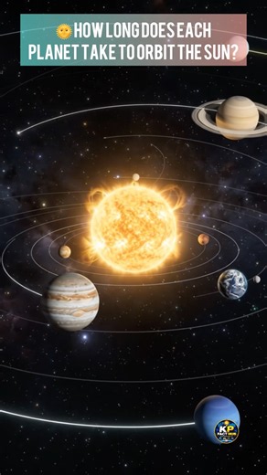 How Long Does Each Planet Take to Orbit the Sun? 🌞 #astronomy #space #sun #youtubeshorts