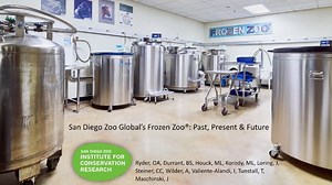 The Frozen Zoo® of San Diego Zoo Global: Past, Present, and Future - Center for Plant Conservation