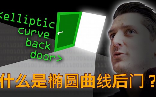 【Computerphile计算机系列】椭圆曲线后门（合集见视频列表）