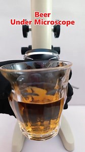 1.7K views | Beer under a microscope. #microscopechallenge #microscope #experiment #fbreelsfypシ゚ #science | English With Jia | Facebook