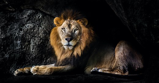 5 Mighty Lessons from the Miracle of Daniel in the Lion’s Den - Topical Studies