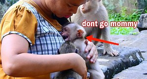 294K views · 3.3K reactions | Omg! Poor little monkey extremely emotional sad cry hardest after her owner visit n left | Adorable Monkey | Facebook