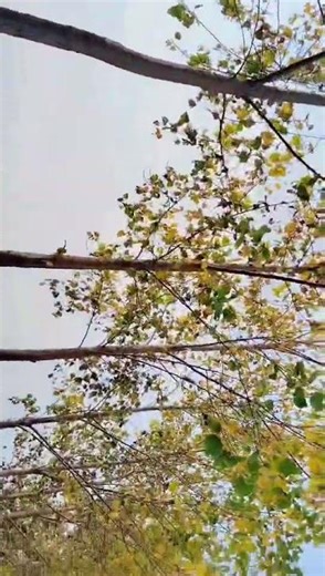 #naturephotography #bike #farmer