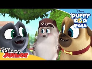 You're Dancin' 💃| Music Video | Puppy Dog Pals | Disney Channel Africa