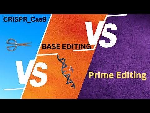 Comparing & Contrasting CRISPR-Cas9, Base Editing, and Prime Editing