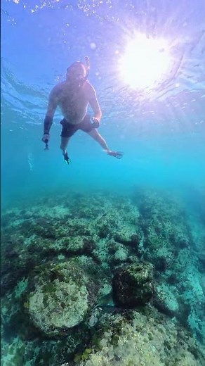 Smooth underwater footage using the Insta360 X5 and Dive Case Pro. #travel