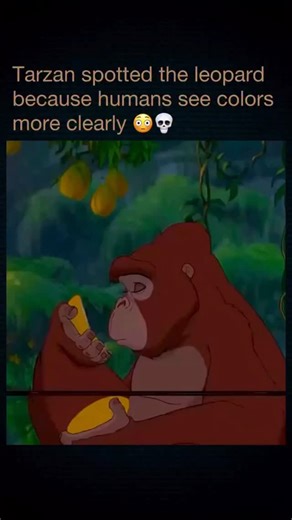 Memes and movies on Instagram: "I never noticed the leopard hiding in the bushes until now Tarzan: Orphaned as a baby and raised by the gentle ape Kala, Tarzan grows up believing he’s part of the jungle family that saved him. But when he meets Jane Porter, a curious explorer from the human world, he begins to question where he truly belongs - with the humans he’s just discovered or the apes who raised him. Watch on: Disney+ #foryou #viralvideos #emotional"