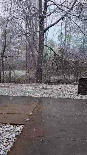 LET IT SNOW 🥰🥰🥰🥰🥰🥰 | Sherri Bill