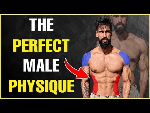 How to BUILD The PERFECT Male Physique? (3 Easy Steps)