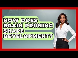 How Does Brain Pruning Shape Development? - Brain Development Hub