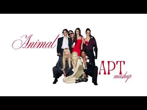katseye, rose + bruno mars | animal x apt
